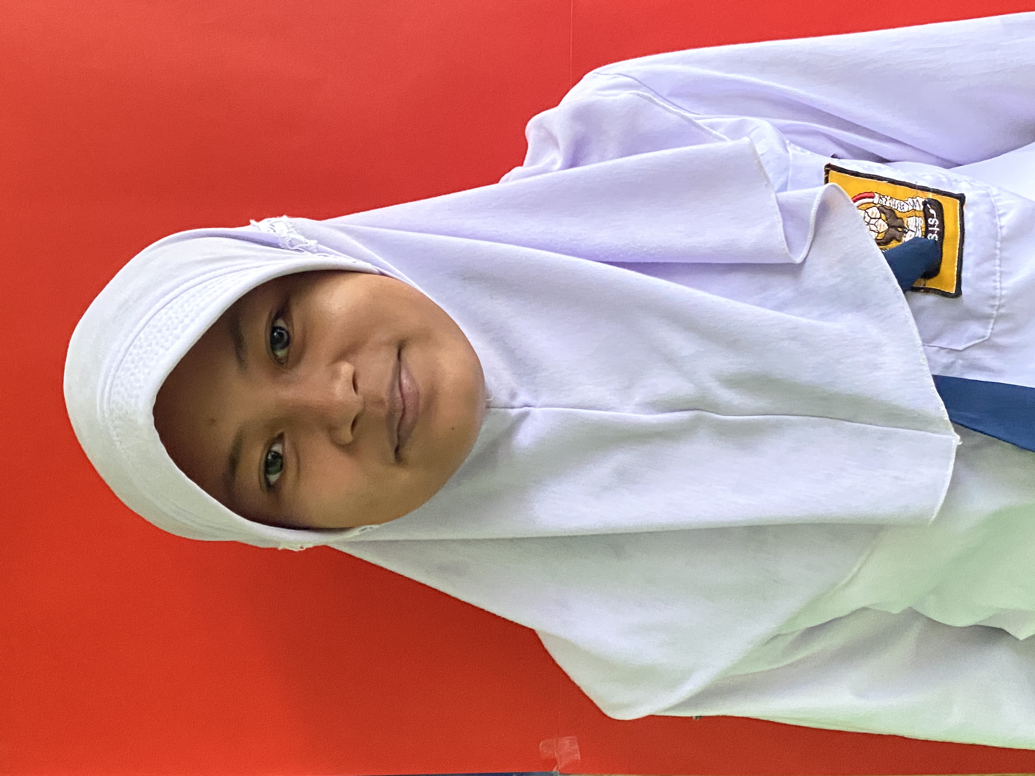 Disi Agustin Rahmadani